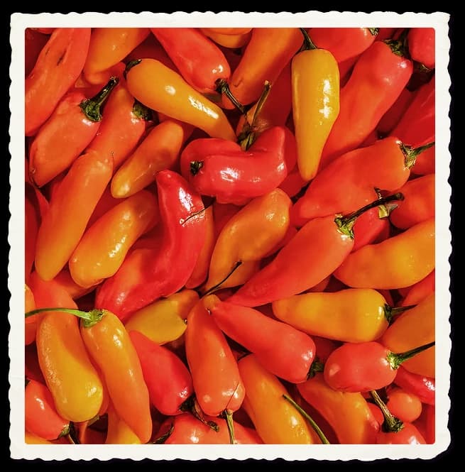 peppers