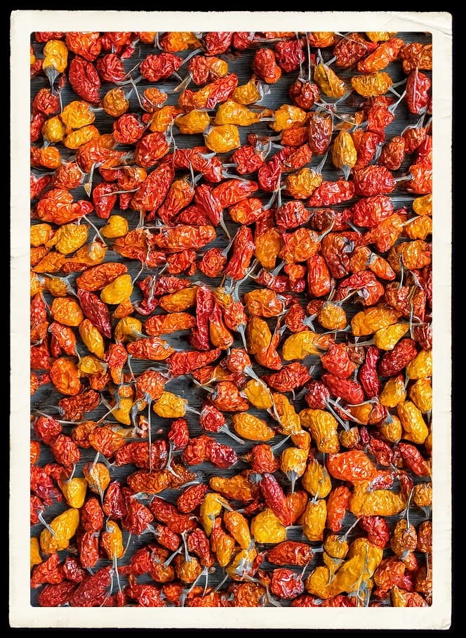 Peppers
